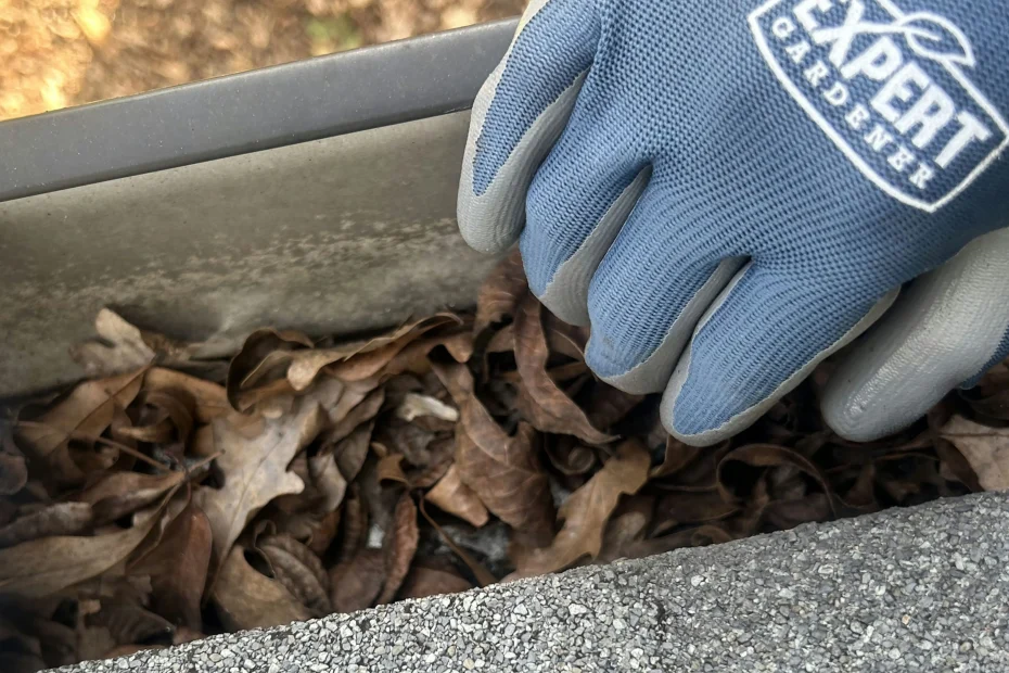 Gutter Cleaning Sky Lake