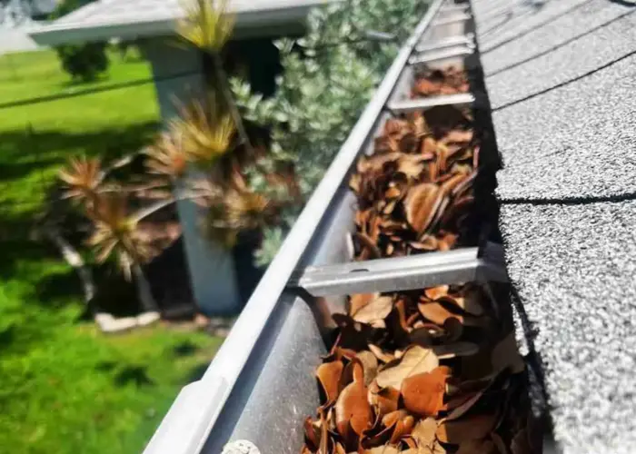 Gutter Cleaning Sky Lake home page